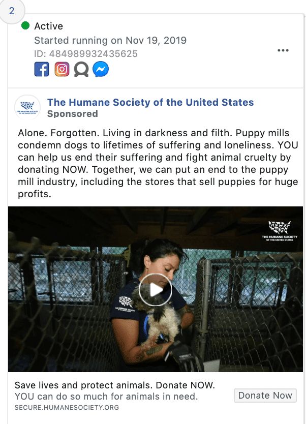 humane-society-facebook-advert