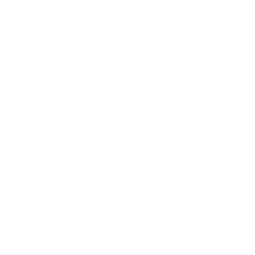Social Media Videos